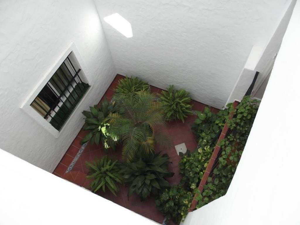 Apartamento en Conil Conil De La Frontera Exterior foto